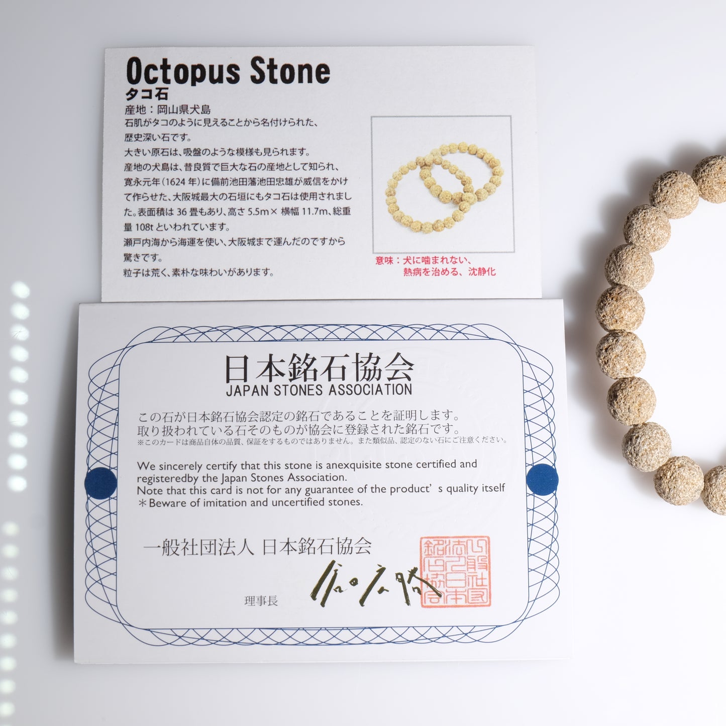 10mm+/- タコ石(Octopus Stone) - JP-OS-1